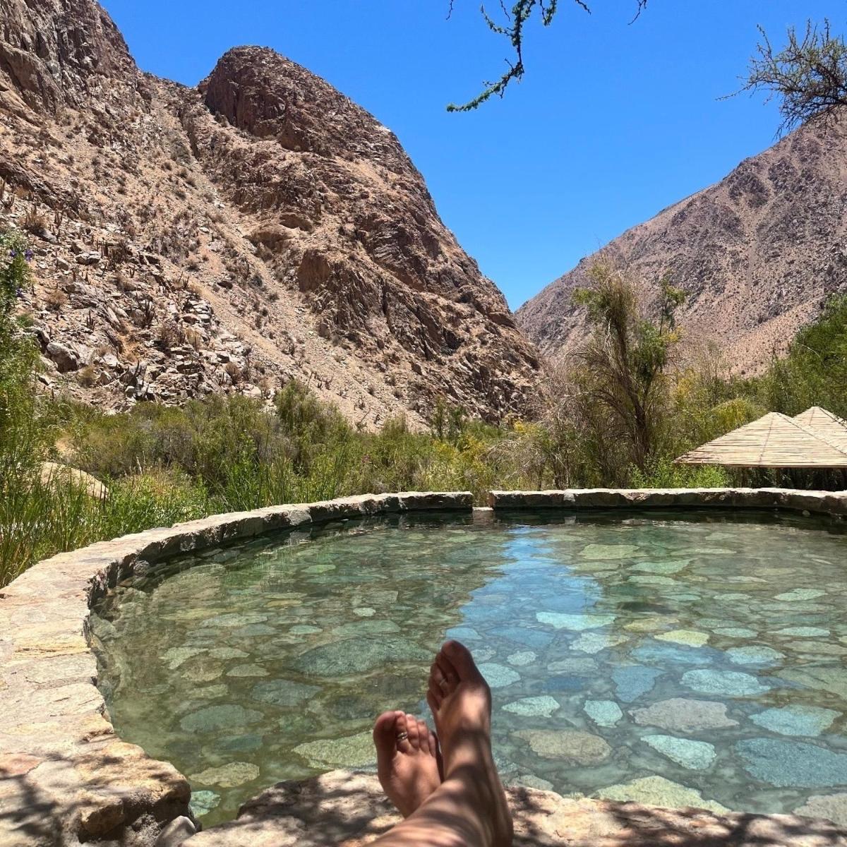 El Albaricoque Cochiguaz